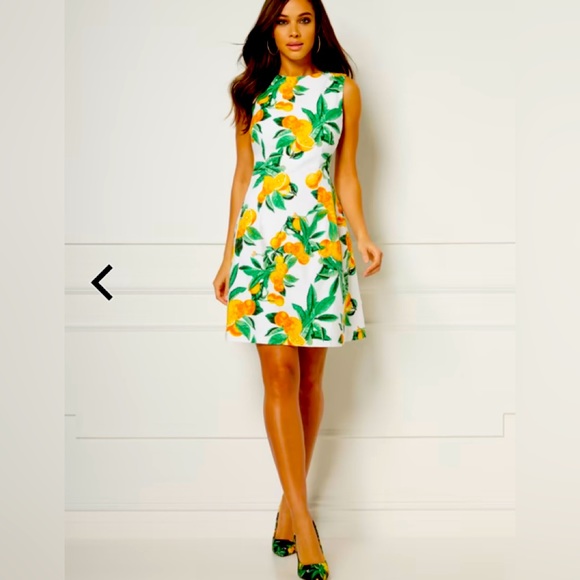 LIMITED EDITION COLLECTION! Size 12 NY&C/ Eva Mendes dress! Machine Washable! - Picture 1 of 11